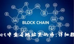 如何在TPWallet中查看地址里