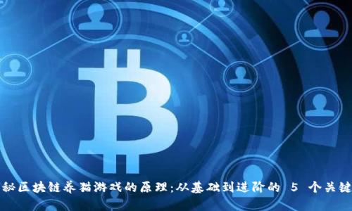 揭秘区块链养猫游戏的原理：从基础到进阶的 5 个关键点