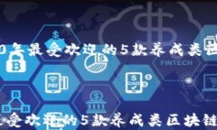     2020年最受欢迎的5款养