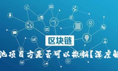 tpwallet资金池项目方是否可以撤销？深度解析与风险提示