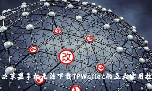 解决苹果手机无法下载TPWallet的五大实用技巧