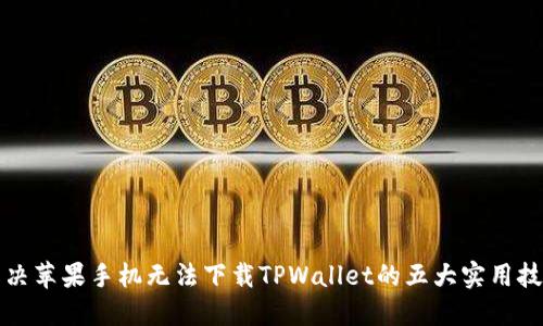 解决苹果手机无法下载TPWallet的五大实用技巧
