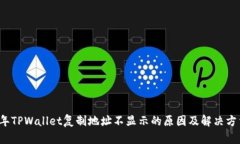 2023年TPWallet复制地址不显