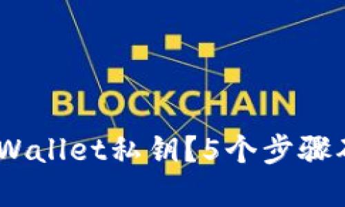 最全指南：如何备份TPWallet私钥？5个步骤确保你的加密资产安全