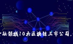 2023年金融领域10大区块链