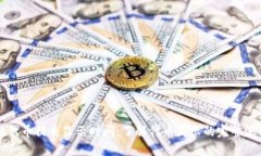 TPWallet代币提交显示时间：