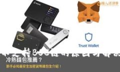 TPWallet不支持BSC链的原因与