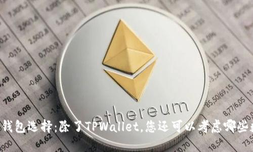 多种数字钱包选择：除了TPWallet，您还可以考虑哪些数字钱包？