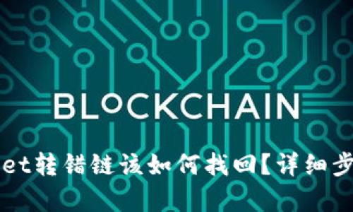 提币到TPWallet转错链该如何找回？详细步骤与技巧解析