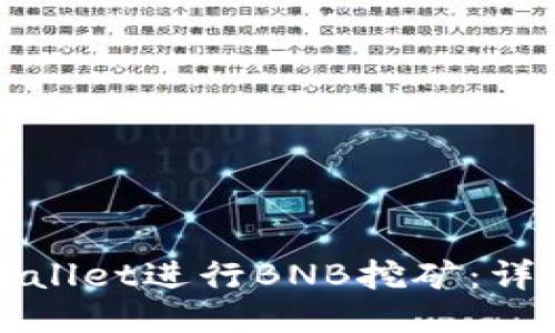 如何使用TPWallet进行BNB挖矿：详细指南与策略