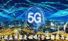 tpwallet被盗币能追回吗？全面解析与应对策略