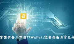 如何在苹果设备上下载TPWallet：完整指南与常见问