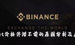 TPWallet价格停滞不前的原因分析及未来展望