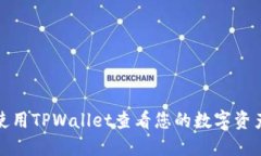 如何使用TPWallet查看您的数字资产余额